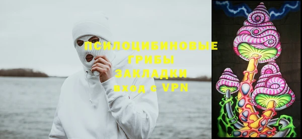 2c-b Алексин