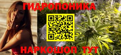 молекула духа Кулебаки