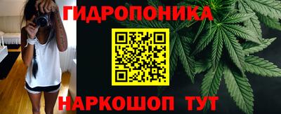молекула духа Кулебаки