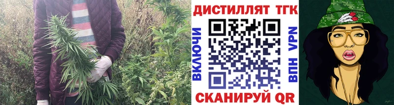 ТГК жижа  как найти   Арзамас 