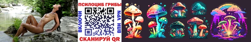 kraken   Арзамас  Галлюциногенные грибы Psilocybine cubensis 