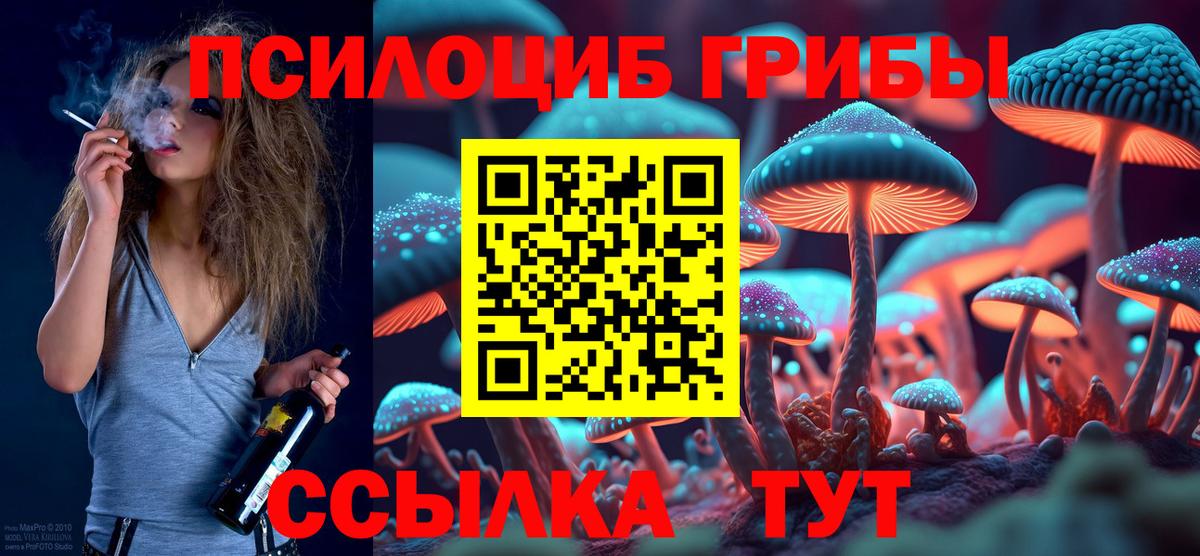 что такое наркотик  Вход с VPN  Арзамас  Галлюциногенные грибы Magic Shrooms 